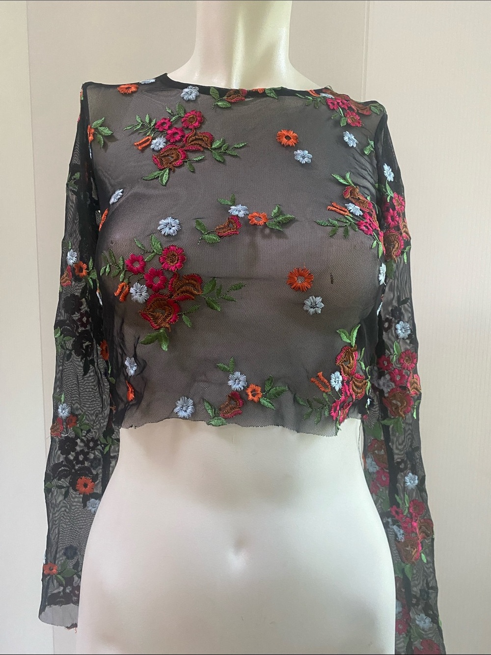 Urban Outfitters Black Sheer Floral Embroidered Crop Top
